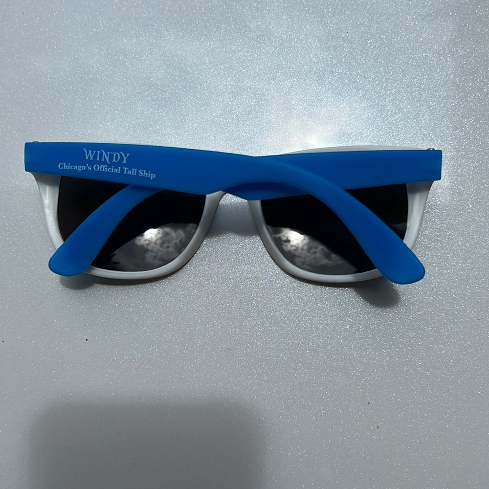 Windy Chicago Sunglasses